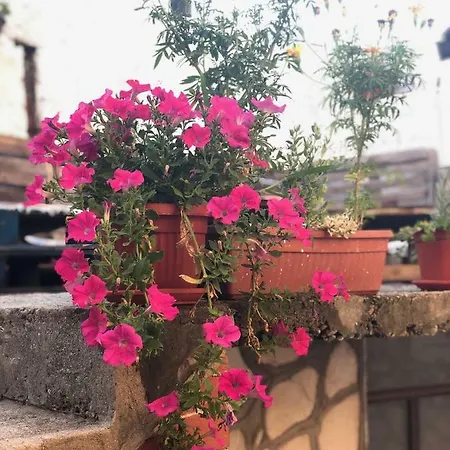 Hostel Sundari