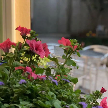 Hostel Sundari